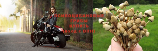 синтетический гашиш Армянск