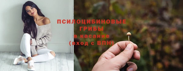 мескалин Арсеньев