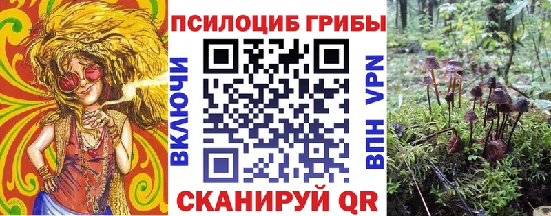 сколько стоит  Малоархангельск  Псилоцибиновые грибы MAGIC MUSHROOMS 